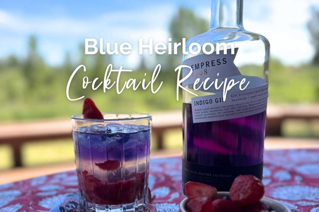 4th of July Cocktail Recipe: The Blue Heirloom (Indigo Gin Based Cocktail)
