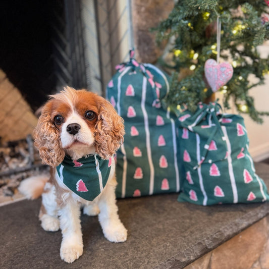 Pet Bandanas