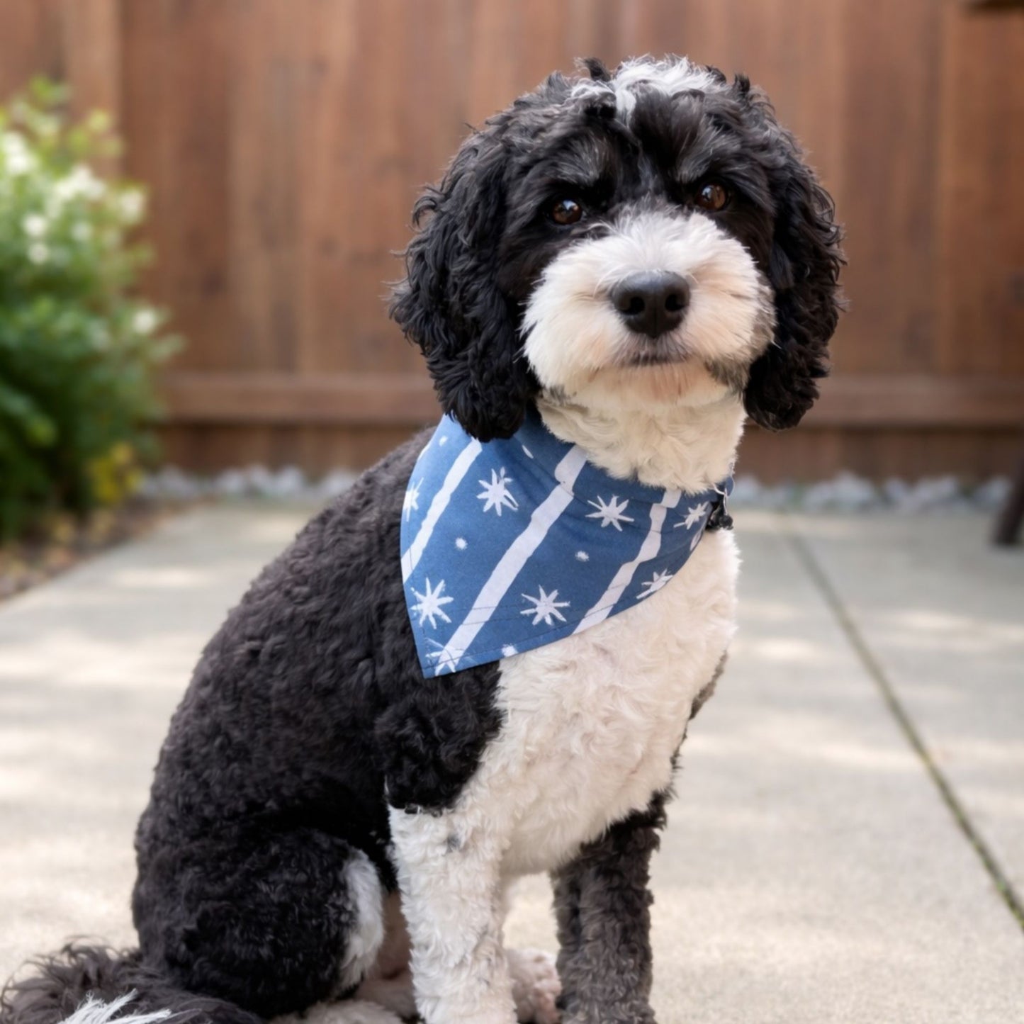 Pet Bandanas