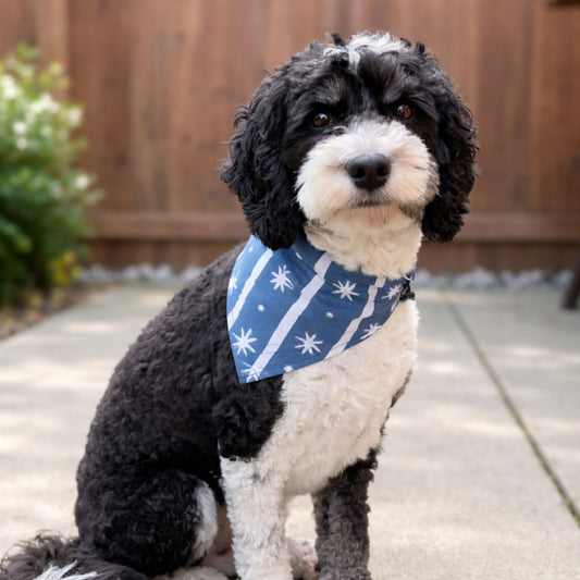 Pet Bandanas